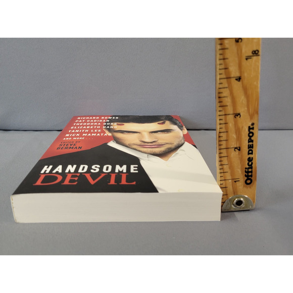 Handsome Devil Stories of Sin & Seduction Book Paperback 2013 - Picture 12 of 14